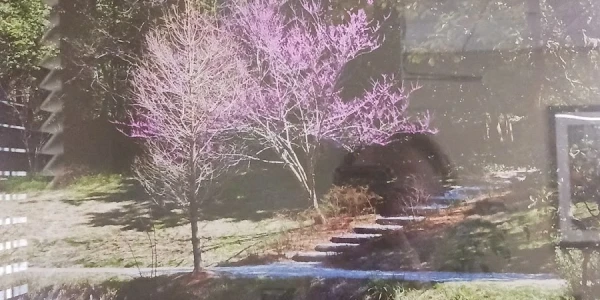 Methodist Behavioral Hospital